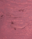 Карандаш для губ гелевый Zola №102 Nude Blush 0000000023459 фото 3