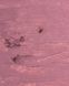 Карандаш для губ гелевый Zola №104 Dusty Orchid 0000000023461 фото 4